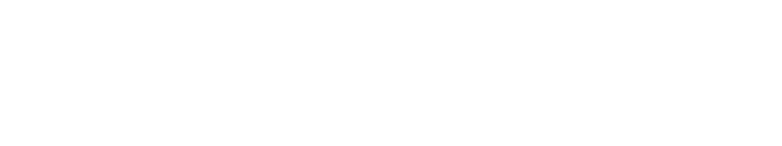 Fashion Musthaves